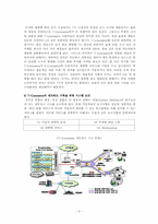 한국 T-Commerce의 산업적 가능성에 대한 분석-5