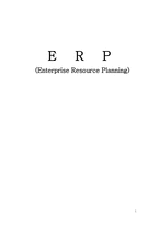 ERP Enterprise Resource Planning개론 리포트-1