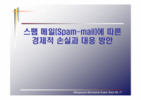 [MIS 경영정보시스템] 스팸메일(Spam-mail)에 따른 경제적 손실과 대응 방안-1