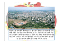 지역 사회 복지론 발표     중산동 -11