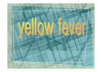 yellow fever -1