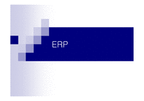 ERP 에 대해서 -1