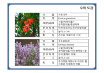 한국 도로공사 수목원1-15