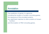 Genome Annotation-2