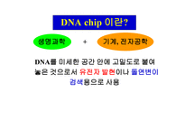 DNAchip 연구보고서-1