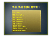 한국 어문 규정집 - 국어의 로마자 표기법 -10