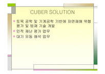 소프트웨어공학 - 프로토타이핑기법이란, 프로토타이핑기법의 형태, CUBER SOLUTION     -5