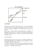 [재무비율분석] 손익분기점분석, 레버리지분석-3