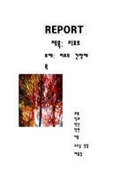 남이섬 가을 단풍나무 리포트 표지-1