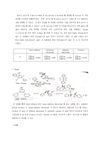 유기화학실험1 Bromination of Alkenes -15