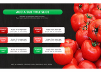 빨간맛 토마토 그린푸드 컨셉 배경 PPT 파워포인트 템플릿 (by 아기팡다)-19