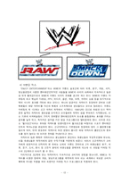 [브랜드전략] WWE의 브랜드 특수성과 마케팅믹스에 관한 연구-13