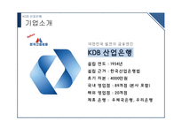 KDB 산업은행 산업은행의 과거 산업은행의 문제점 금융 산업 발전 브랜드마케팅 서비스마케팅 글로벌경영 사례분석-5