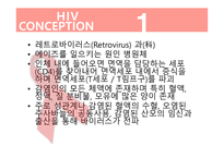 AIDS 에이즈 레트로바이러스 HIV항체검사법 p24 항원 검사법 유전자검사법 칵테일요법-9