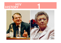 AIDS 에이즈 레트로바이러스 HIV항체검사법 p24 항원 검사법 유전자검사법 칵테일요법-14