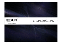 EXR 마케팅 EXR 브랜드분석 EXR시장분석 EXR 브랜드마케팅 EXR 서비스마케팅 글로벌경영 EXR 사례분석 swot stp 4p-3