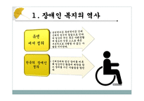 장애인 복지 장애인 연금 특수교육 특수교육법 장애인 분류 특수체육 복지의 역사-3