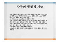 강릉의 구성과 기능 강릉의 교육적 기능 강릉의 행정적 기능-4