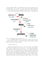 동물유전과개량2공통형) Central dogma에 대해 기술하고 DNA RNA 단백질 각각의 분석 방법에 대하여 기술하시오0K-2