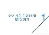 사업아이템 BMO평가 및 BMC-2
