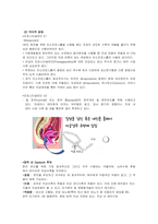 여성건강간호학 실습 _ 정상분만(NSVD) 케이스 [간호진단 및 간호과정 4개]-7
