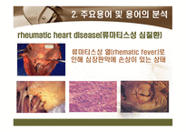 [해부학 A+] 심혈 관계(Cardiovascular System) 용어 정의 및 분석-20