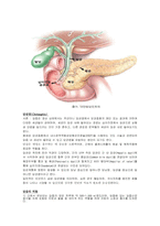 신규간호사도 이해할 수 있게 만든 담관염 자료(시술 및 이미지)-1