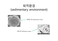 6 퇴적암과 퇴적환경(Sedimentary rock and environment)-13