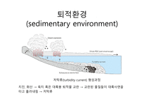6 퇴적암과 퇴적환경(Sedimentary rock and environment)-14