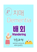 치매(Dementia) 간호진단 배회(Wandering) 간호과정 A+-1