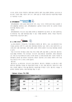 항공사경영론 얼라이언스 - WINGS(윙스), SKYTEAM(스카이팀)-13