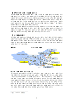 [국제경영전략] 한국타이어의 중국 해외직접투자-9
