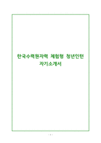 한국수력원자력_체험형 청년인턴 자소서-1