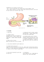 췌장염(Pancreatitis) 문헌고찰-9