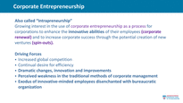 Lecture Note__New Venture Startup_MBA_Alto_04-13 CorporateEntrepreneurshipShort1New-5
