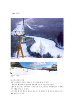 [관광통계학] 스키장의 장소성에 대한 스키어들의 의식현황 -중국의 스키장-3