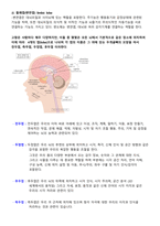 해부생리학-뇌척수신경계통-5