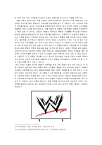 [소비자행동] WWE의 브랜드전략 -브랜드 특수성과 마케팅믹스에 관한 연구-13