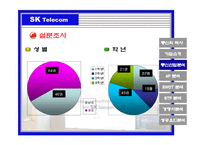 [마케팅] SK Telecom(sk텔레콤) 마케팅 분석-18