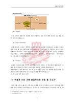 [마케팅] LG생활건강 한방 화장품 더후 신제품마케팅-6