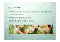 [식품]김치 레포트-5