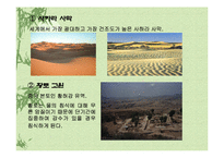 [환경]사막화 레포트-6