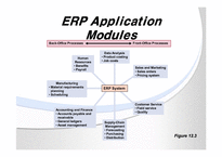 [ERP시스템]ERP프로세스와 구축-10