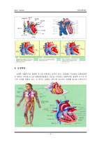 [간호학] 심장의 해부생리와 질환-4