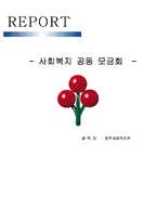 [지역사회복지론] 사회복지 공동 모금회-1