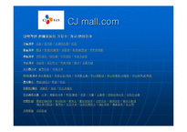 [마케팅 성공] CJ mall의 인터넷 마케팅 성공분석-18