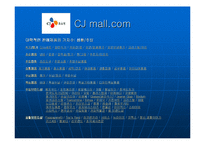 [마케팅 성공] CJ mall의 인터넷 마케팅 성공분석-19