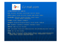[마케팅 성공] CJ mall의 인터넷 마케팅 성공분석-20