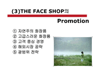 [마케팅] 더페이스샵 THE FACE SHOP 마케팅 전략 분석-11