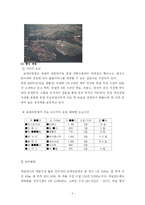 항만 물류 산업의 메카, 인천 지역의 경제 발전과 특징-5